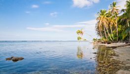 Palm trees hang over the Caribbean Sea and shallow coral reefs at Cahuita National Park, Costa Rica.
